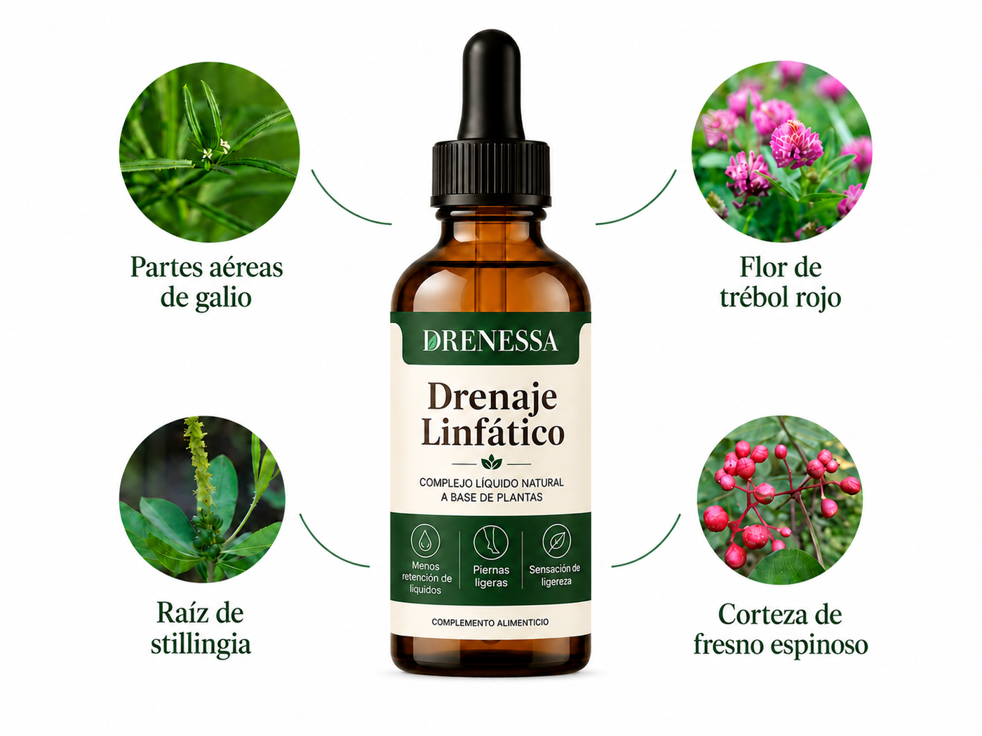 ¿Qué hay dentro y por qué es importante?